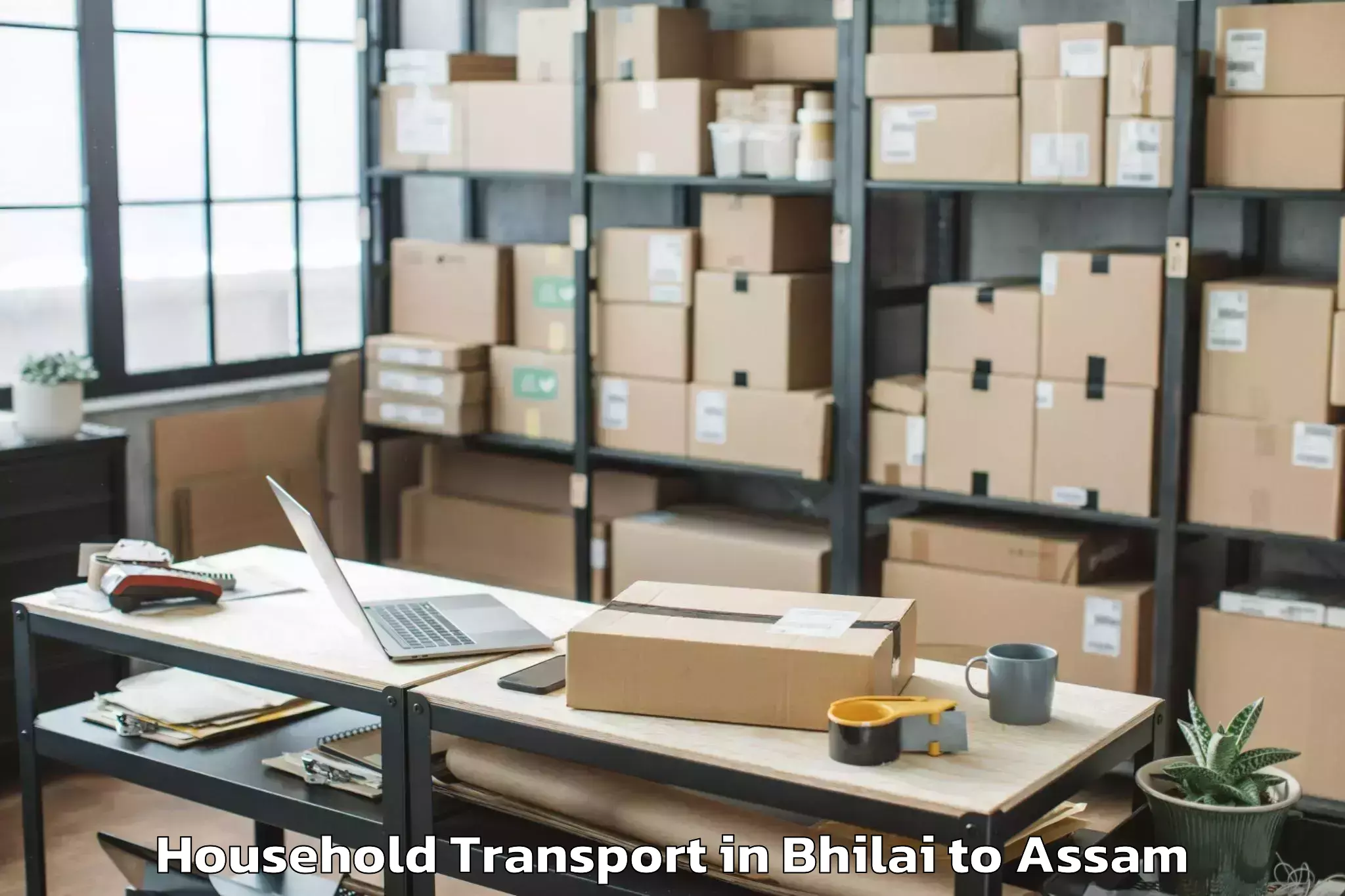 Easy Bhilai to Chaparmukh Household Transport Booking